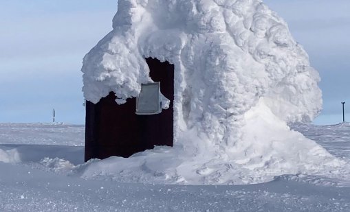 Виц на деня - 5 ноември