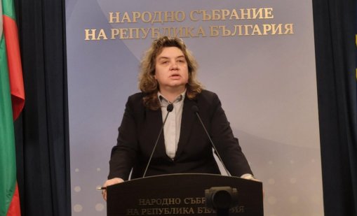 Киселова: Много е важно НС да продължи да функционира в условията на плурализъм