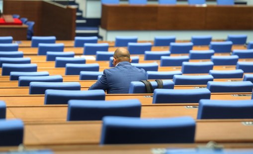 Депутатите решиха: По-тежки наказания за престъпления срещу животни
