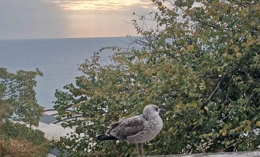 Слънчево време в цялата страна днес
