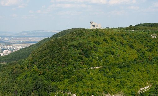 Специалист от зоопарка във Варна ще помага за залавянето на животното в Шумен