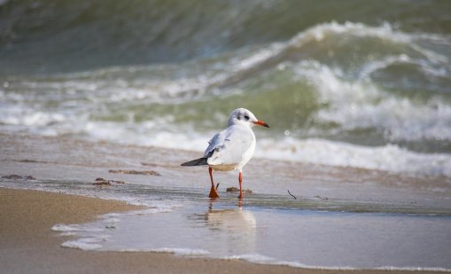 Времето във Варна днес: Започва застудяване