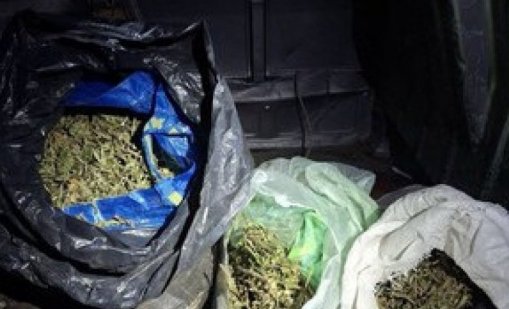 Откриха 8 кг марихуана при спецоперация в Бобов дол