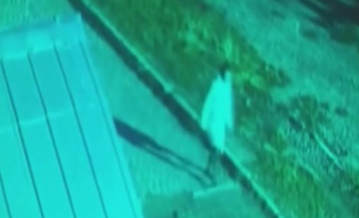 Вижте ВИДЕОТО, запечатало Стефани за последно