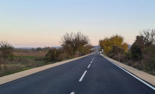 Искат оставката на председателя на Агенцията за пътна безопасност