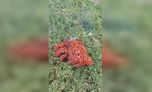 Мистерията е разкрита! Стана ясен произхода на червената маса от Якоруда