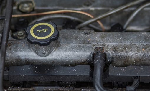 Виц на деня - 30 ноември