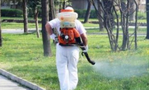Продължава обработката срещу вредители във Варна