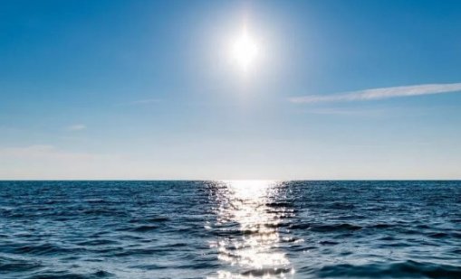 Студенти от Варна създадоха приложение за качеството на морската вода