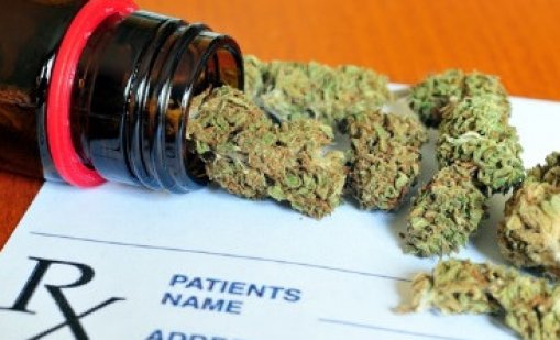 В Турция:  Разрешиха продажбата на канабис в аптеките