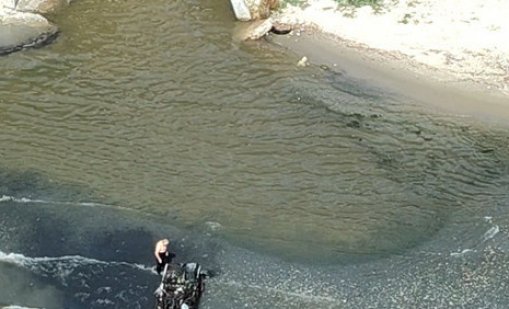 Три сигнала за замърсяване на водите край Варна, какво показват проверките?