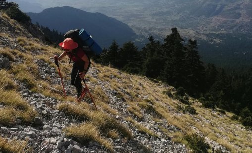 Виц на деня - 9 декември