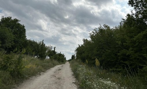 МВР забрани нощния достъп до Шуменското плато заради леопарда