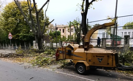 Орязаха клони на дървета край училище в центъра на Варна