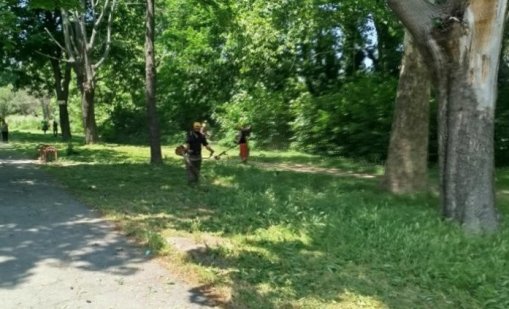 Продължава обработката срещу кърлежи на терени от обществено значение във Варна