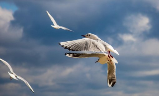 Какво ще е времето през уикенда? 