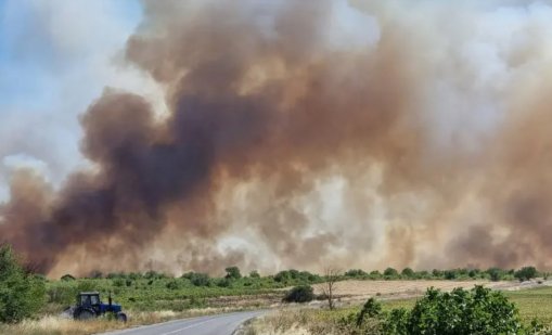 269 пожара са потушени в страната за последното денонощие