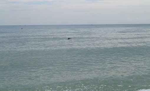 Два неидентифицирани обекта са забелязани да плават в Черно море