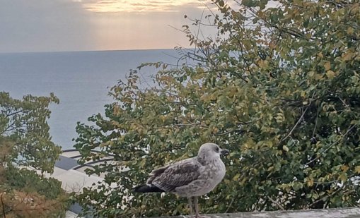 Какво ще бъде времето в събота?