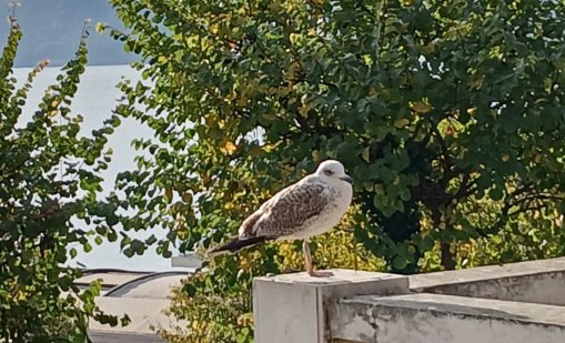 Какво ще бъде времето в неделя?