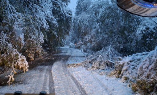 Без зимна обстановка и без сняг – така изглежда времето в България поне до средата на декември