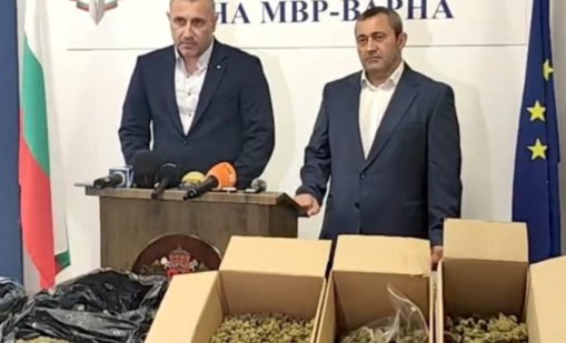 Откриха нов вид дрога във Варна (СНИМКИ)