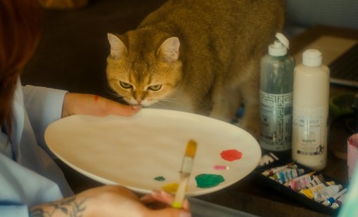 Виц на деня - 29 ноември