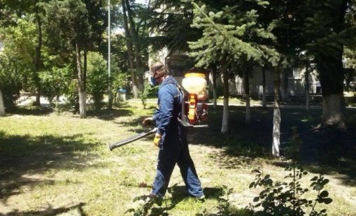 Във Варна продължава обработката срещу вредители