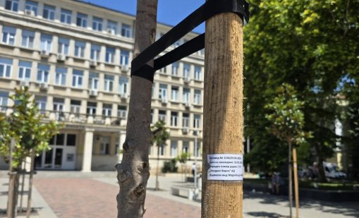„Холдинг Варна“ изпълни предварително компенсаторната си програмата за засаждане на дървета (СНИМКИ)