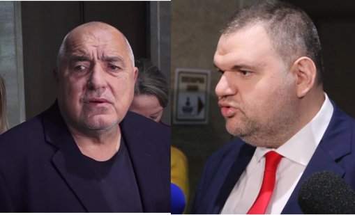 Ружа Райчева: Борисов скръцна със зъби на Пеевски