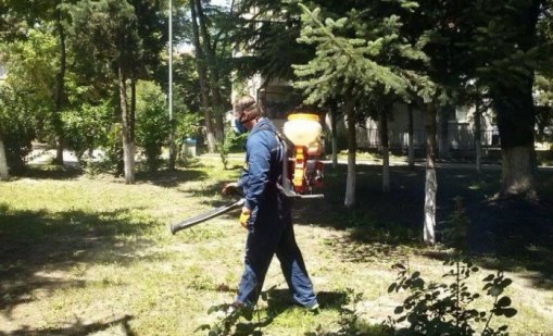 Продължава обработката срещу вредители във Варна