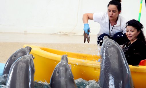 Коледна изненада подготвя Делфинариумът във Варна