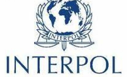 Французин е новият шеф на Интерпол