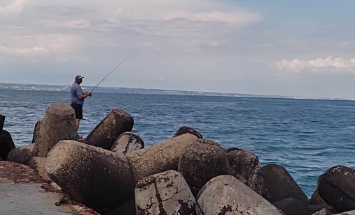 Кои са най-стресираните риби в Черно море?