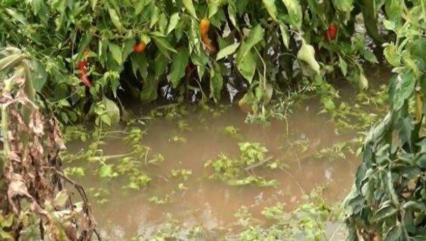Воден ад в Красново и Кръстевич