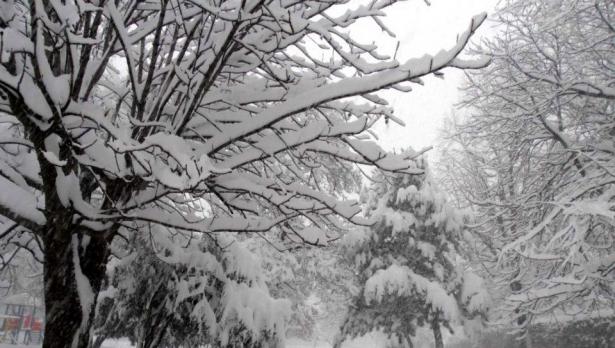 -20° измериха в Силистренско
