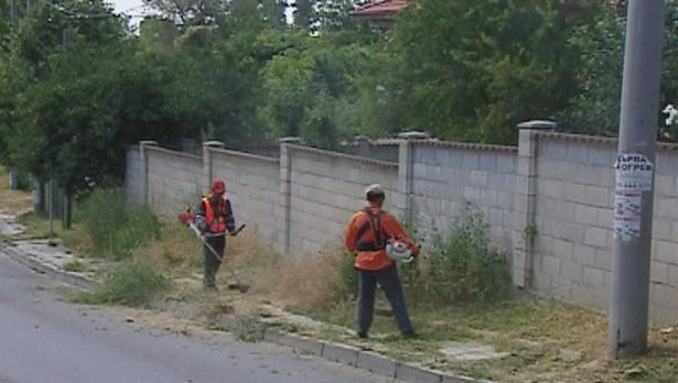 "Щрихи от утрото" (5.07.2016) - Светкавична реакция на кметство „Приморски“ след репортаж на ТВ „Черно море“
