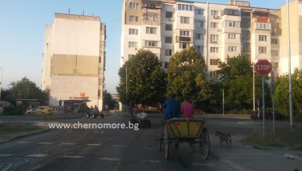 Глобиха собственици на коне във "Владиславово"