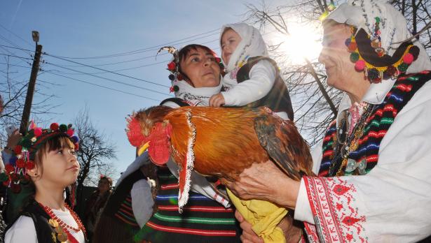 Снимка ПЛАМЕН ГУТИНОВ