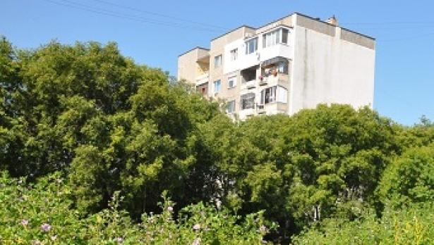 Варненски кмет се зае лично с косенето в района