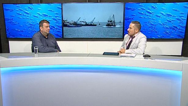 "Щрихи от утрото" (24.09.2019) - Какво е състоянието на рибните ресурси в Черно море?