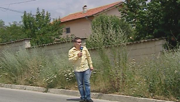 "Щрихи от утрото" (1.07.2016) - Тротоарът на улица "2-ра" в местност "Траката" се превърна в джунгла