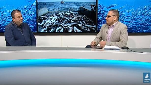 "Щрихи от утрото" (11.02.2020) - Как климатичните промени влияят на живота в Черно море?