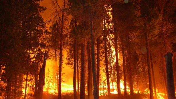 Мълния удари Атон, горски пожар бушува до Великата лавра