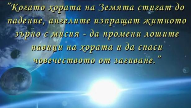 "Щрихи от утрото" (25.02.2019) - Кои са най-подходящите диети за пролетно пречистване?