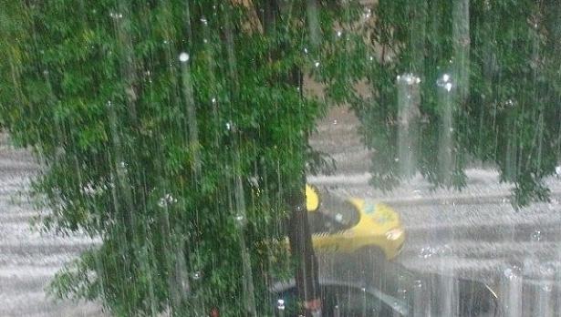 Буря изкорени дървета в Добровница