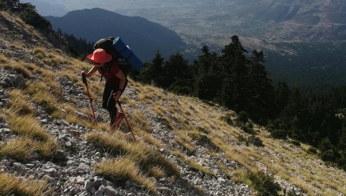 Виц на деня - 9 декември