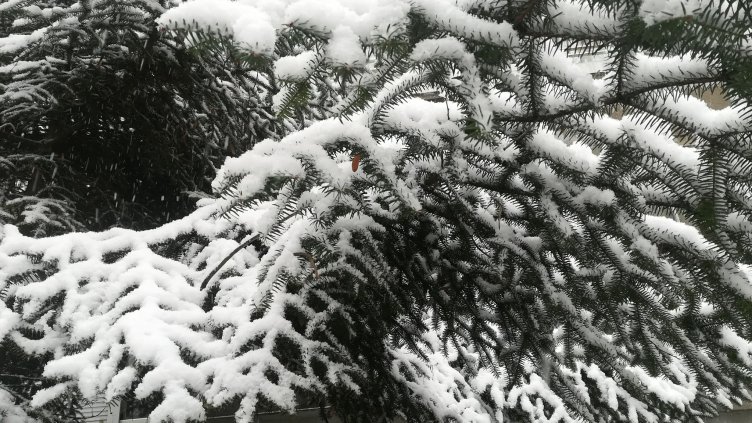 Валежи от сняг и дъжд на много места в България утре