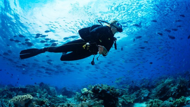 Продават част от остров за 45 млн.евро