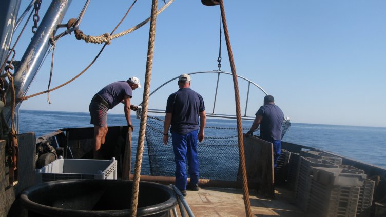Тръгва научно изследване за състоянието на запаса от рапан в Черно море